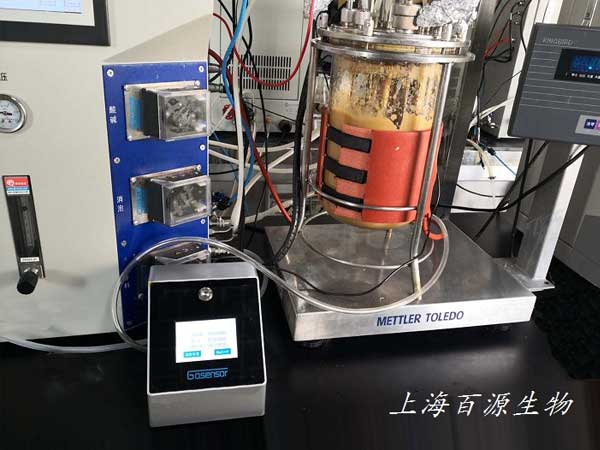 Off-gas analysor BY-001 is installed in State Key Laboratory of Bioreactor